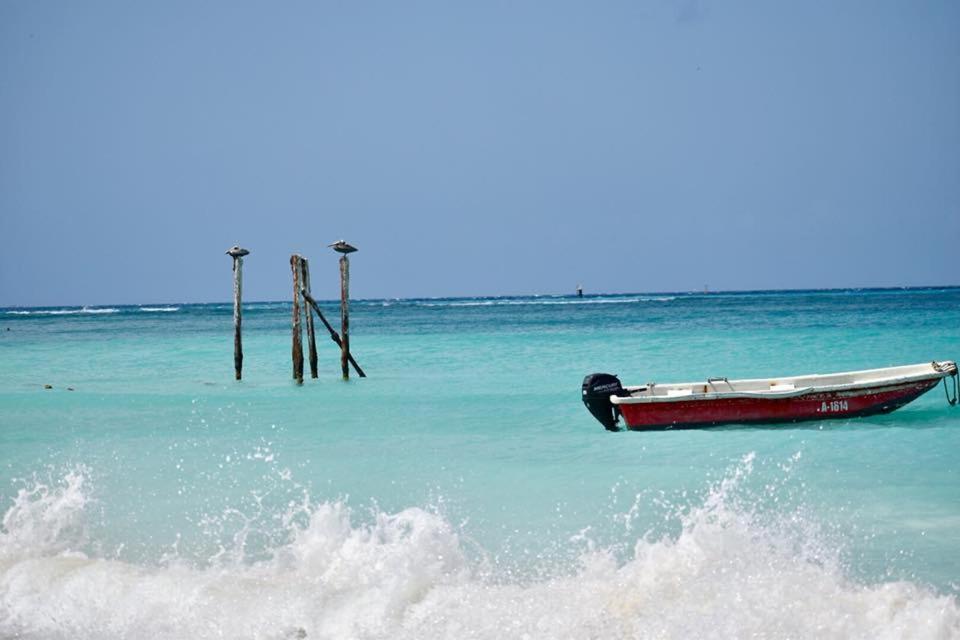 Palmhouse Apartments Aruba 1- 4 Persons Savaneta Экстерьер фото